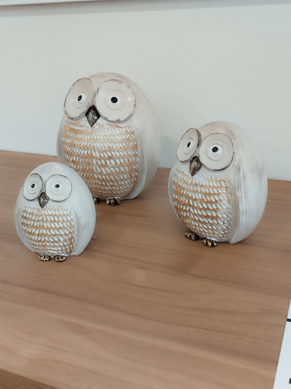 Familia de buhos - Imagen 1