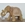 Figura elefante - Imagen 1